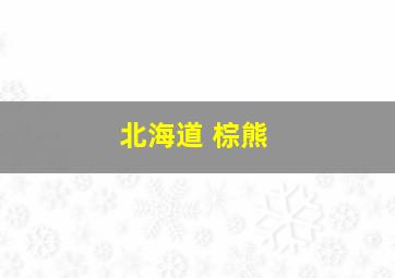 北海道 棕熊